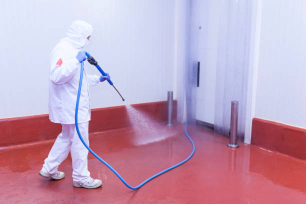 Best Roof Washing  in Gouldtown, NJ